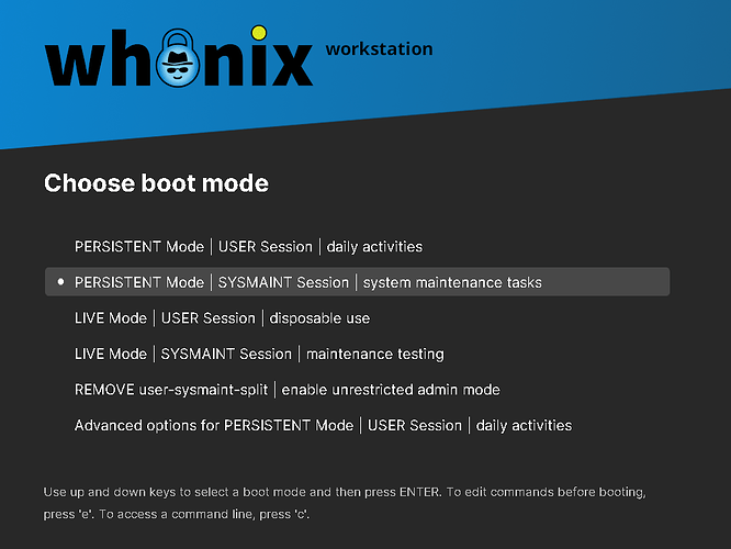 Persistent mode sysmaint session