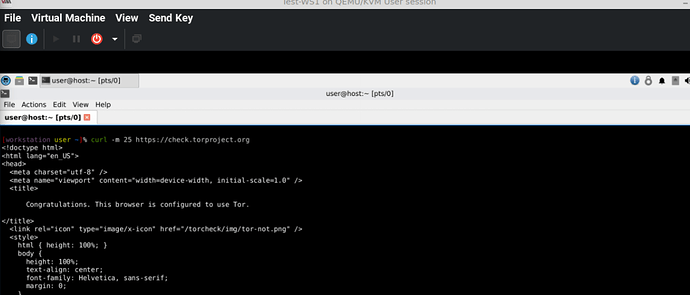 WS1 TEST